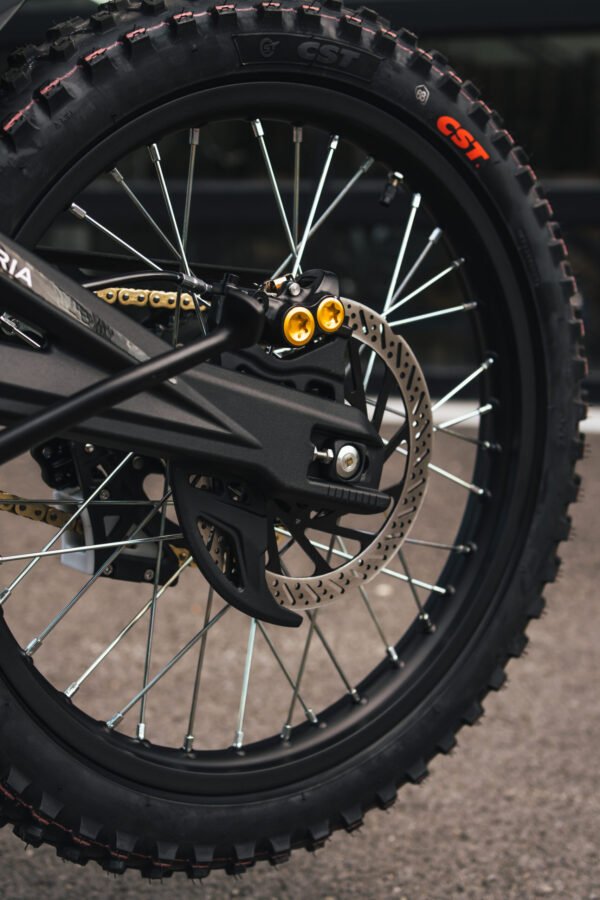 DSC03453-scaled-1-600x900-1.jpg TALARIA STING MX5