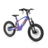 RXF Evo 18 Electric Bike