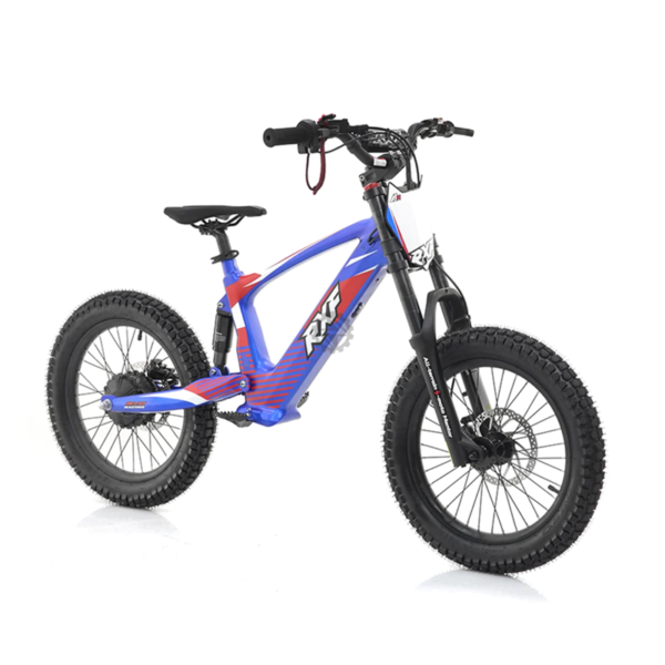 RXF Evo 18 Electric Bike